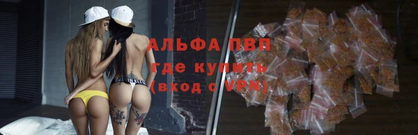 гидропоника Алзамай