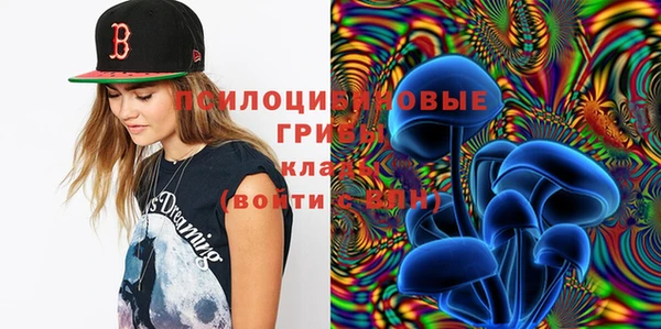 круглые Абаза