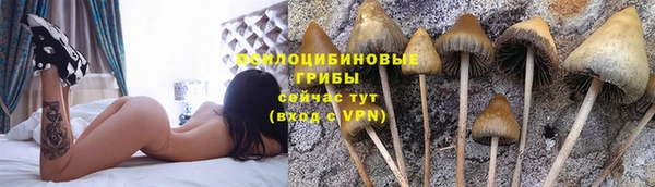 каннабис Абинск