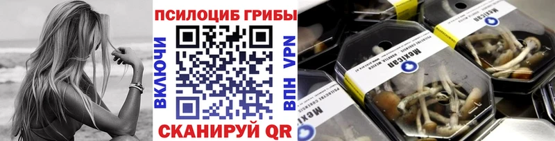 Галлюциногенные грибы Magic Shrooms  цены   hydra ссылка  Мещовск 